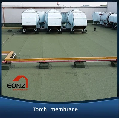 Sheet Membrane
