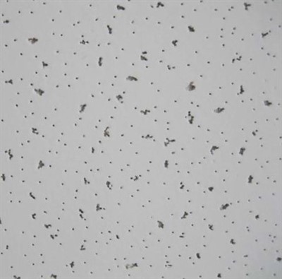 Acoustic Mineral Wool Board